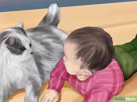 Imagen titulada Care for Ragdoll Cats Step 12