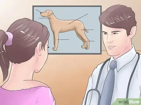 Imagen titulada Heal a Torn Dog ACL Without Surgery Step 11