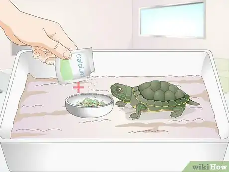 Imagen titulada Feed a Baby Turtle Step 10