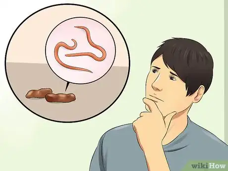 Imagen titulada Treat Hookworms in Dogs Step 14