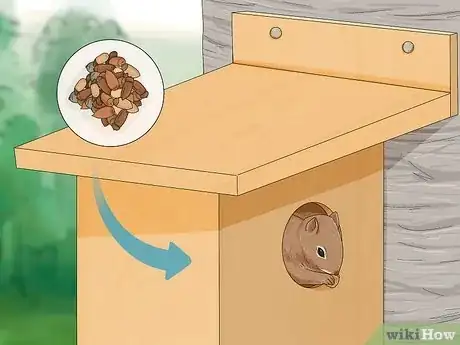 Imagen titulada Build a Squirrel House Step 14
