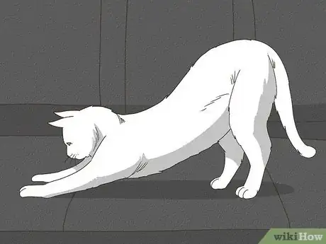 Imagen titulada Travel with a Cat Step 13
