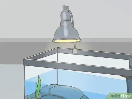 Imagen titulada Care for a Red Eared Slider Turtle Step 12