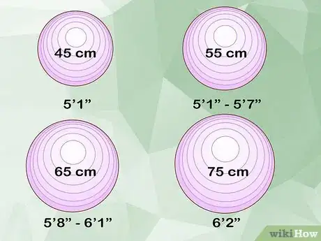 Imagen titulada Use an Exercise Ball for Beginners Step 1