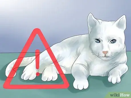 Imagen titulada Tell if Your Cat Is Deaf Step 10