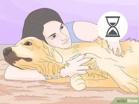 Imagen titulada Treat Skin Allergies in Golden Retrievers Step 17