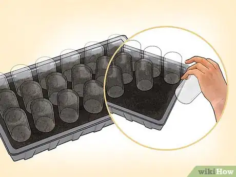 Imagen titulada Propagate Clematis Step 7