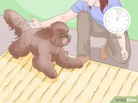 Imagen titulada Strengthen an Old Dog's Hind Legs Step 9