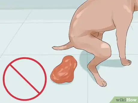 Imagen titulada Determine Whether to Diaper a Senior Dog Step 5