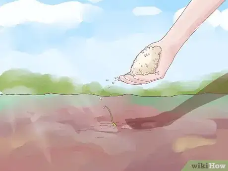 Imagen titulada Plant Garlic Step 8