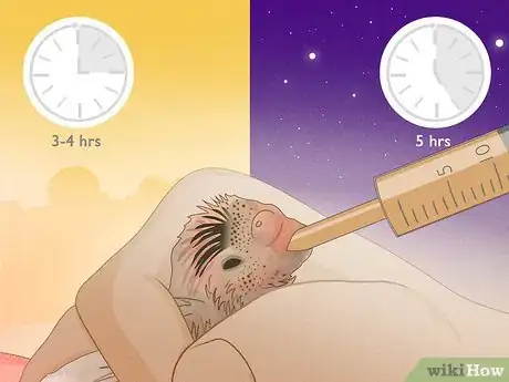 Imagen titulada Feed a Baby Budgie Step 11