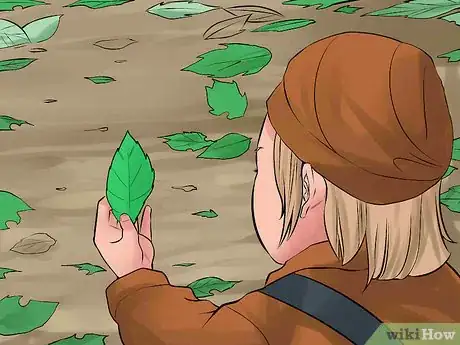 Imagen titulada Make a Leaf Collage Step 2