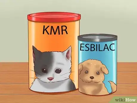 Imagen titulada Care for Baby Mice Step 4