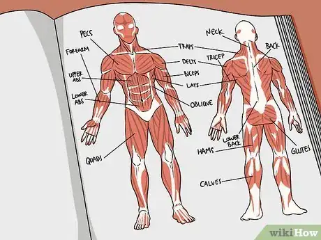 Imagen titulada Study Muscle Anatomy Step 2