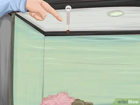 Imagen titulada Keep Your Fish from Dying Step 2