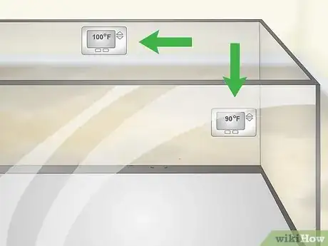 Imagen titulada Care for an Iguana Step 3