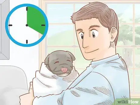 Imagen titulada Revive a Puppy Step 20