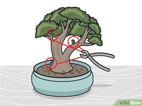 Imagen titulada Prune a Bonsai Tree Step 8