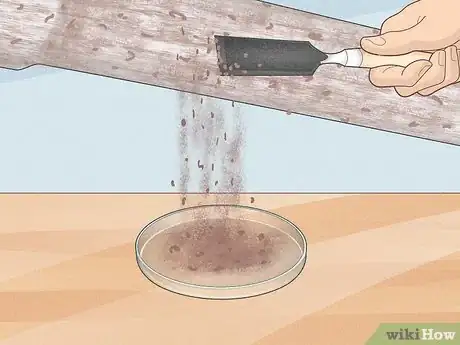 Imagen titulada Make Iron Oxide Step 1