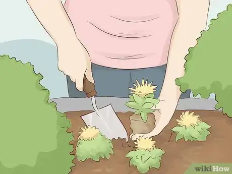 Imagen titulada Create a Rain Garden Step 13.jpeg