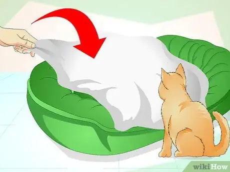 Imagen titulada Comfort a Dying Cat Step 2