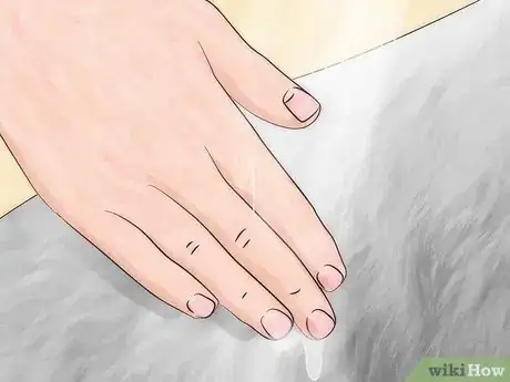 Imagen titulada Get Rid of Fleas in Carpets Step 21