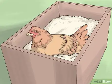 Imagen titulada Take Care of Chickens Step 25