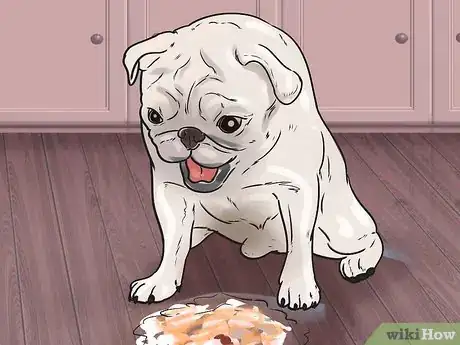 Imagen titulada Help a Dog Who Has Canine Epilepsy Step 13