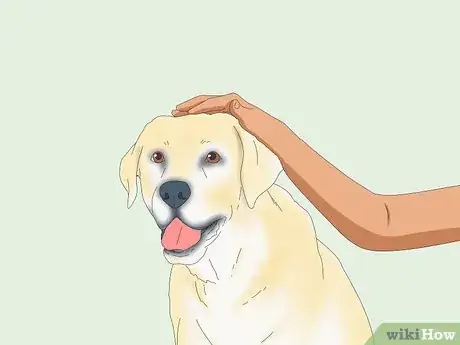 Imagen titulada Pet a Dog Step 9