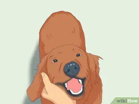 Imagen titulada Pet a Dog Step 8