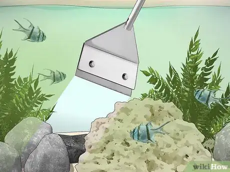 Imagen titulada Start a Saltwater Aquarium Step 39