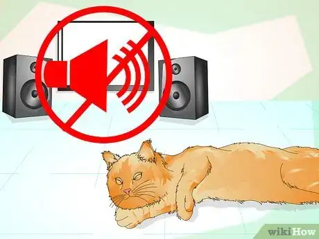 Imagen titulada Comfort a Dying Cat Step 1