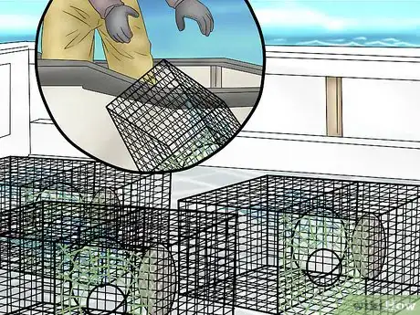 Imagen titulada Catch Lobsters Step 13