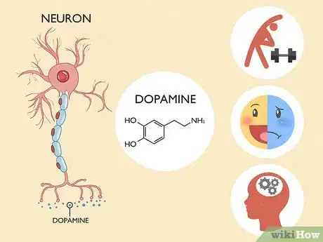 Imagen titulada Increase Dopamine Sensitivity Step 1
