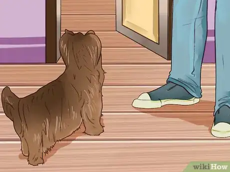 Imagen titulada Train a Yorkie Step 11
