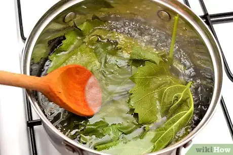 Imagen titulada Make Dolma (Grape Leaves Roll) Step 1