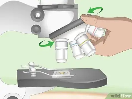Imagen titulada Use a Light Microscope Step 9
