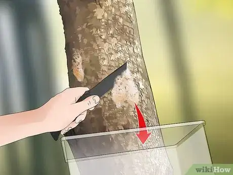 Imagen titulada Get Rid of Gypsy Moths Step 6