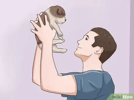 Imagen titulada Wean Puppies Step 5