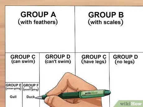 Imagen titulada Make a Dichotomous Key Step 7