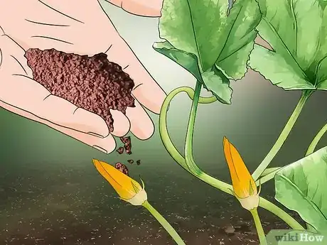 Imagen titulada Add Potassium to an Organic Garden Step 11