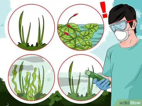 Imagen titulada Kill Lake Weeds Step 8