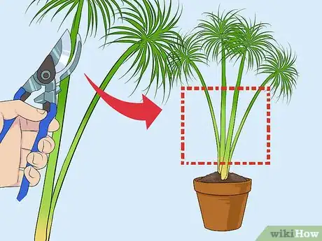 Imagen titulada Make Papyrus Step 2