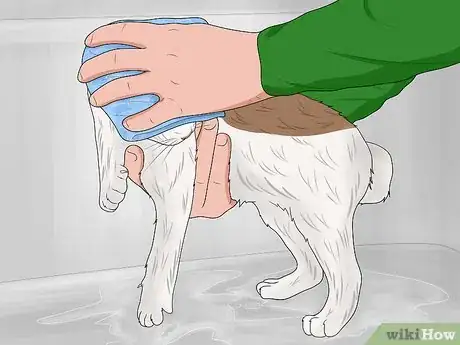 Imagen titulada Bathe a Kitten Step 14