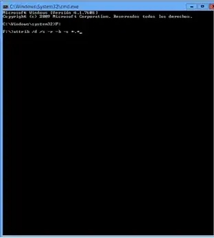Imagen titulada 5 virus accesos directos.png