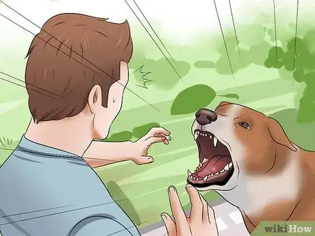 Imagen titulada Stop Dogs from Biting Step 11