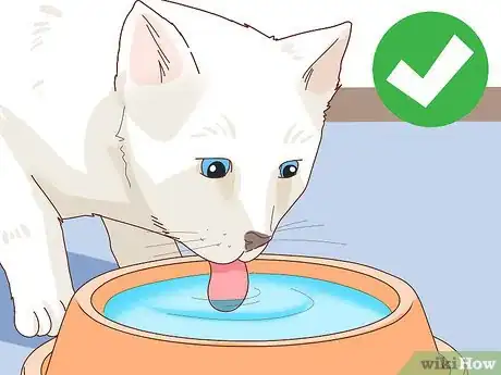 Imagen titulada Check Blood Sugar of a Cat Step 2