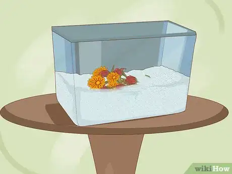 Imagen titulada Preserve a Corsage Step 7