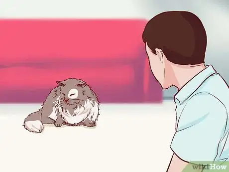 Imagen titulada Stop Your Cat's Diarrhea Step 4