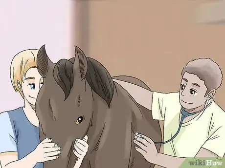 Imagen titulada Treat Edema in Horses Step 13